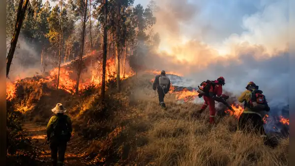 Incendios forestales dejan 12 fallecidos y más de 800 afectados en Perú: CNDDHH exige acciones urgentes