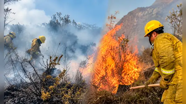 Superó todo el 2025 y van 224 siniestros: la ola de incendios forestales que amenaza la Cordillera Blanca, el Huascarán, el turismo y cultivos en Áncash