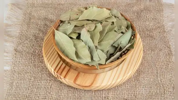 Colocar una hoja de laurel seca detrás de la puerta de casa: por esta razón lo relacionan con la buena suerte y la protección del hogar