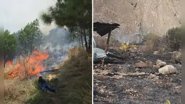 Tres personas son condenadas en Cusco por provocar incendios forestales que devastaron más de 23 hectáreas