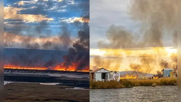 Titicaca en emergencia: incendio destruye 200 hectáreas de totorales cerca de los Uros en Puno