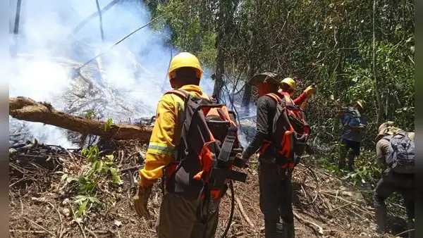 Perú enfrenta un El Niño fuerte y más incendios, pero sigue sin una política integral para prevenir el fuego