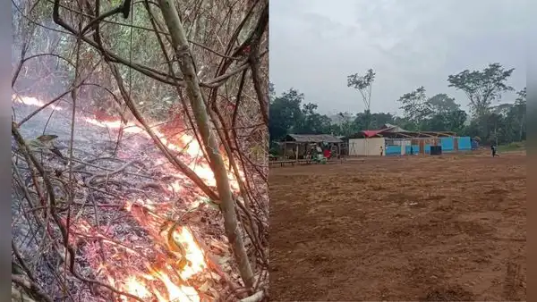 “Lo han perdido todo”: comunidades piden ayuda al Gobierno tras incendios forestales que arrasaron sus cultivos