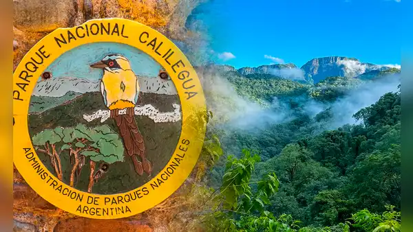 La histórica donación de 76.000 hectáreas de la familia Blaquier que ayudó a crear un parque nacional para proteger una selva única de Argentina