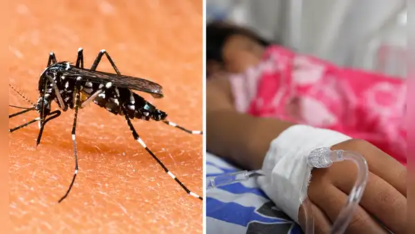 Niña de 4 años muere por dengue en La Libertad: región acumula más de 10.000 casos y 5 fallecidos