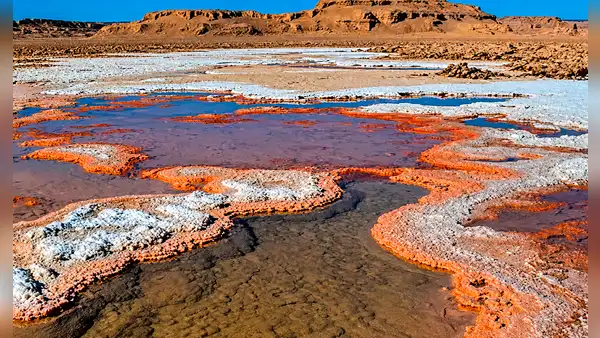 Uno de los lugares más calientes del mundo alberga vida: así es el desierto patrimonio de la humanidad cuyo suelo superó los 80 °C