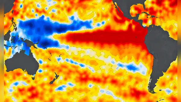 La NASA capta un Pacífico más azul por El Niño: la caída del fitoplancton podría afectar a toda la cadena alimentaria marina
