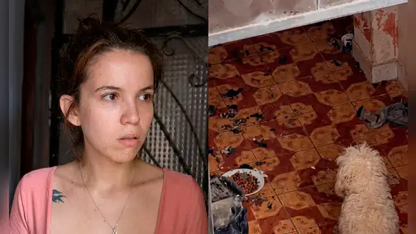 Vecinos denuncian a Greissy Ortega por presunto maltrato animal a sus mascotas: “¿Yo qué hago?”