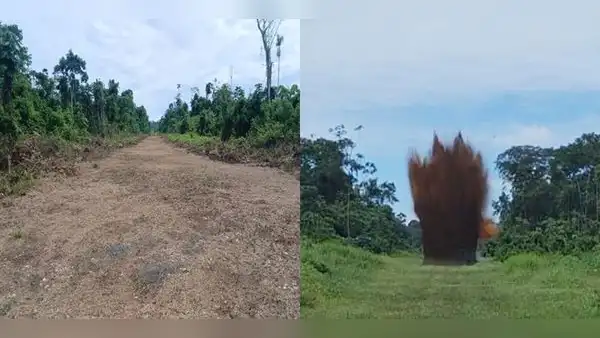 Amazonía: Destruyen 4 narcopistas, pero habrían más de 100 en seis regiones del país