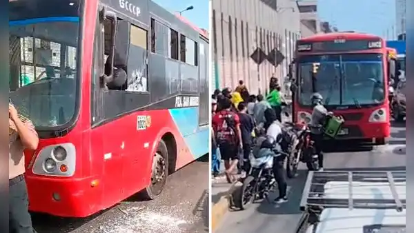 Atacan a balazos bus de El Rápido y chofer resulta herido en la avenida Universitaria en Cercado de Lima