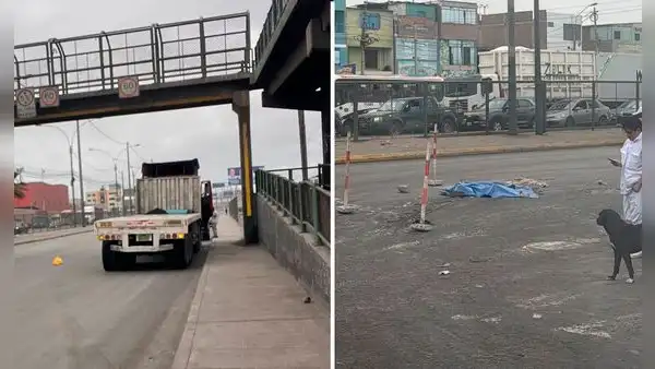 Adulto mayor muere atropellado por tráiler frente al terminal pesquero en el Callao