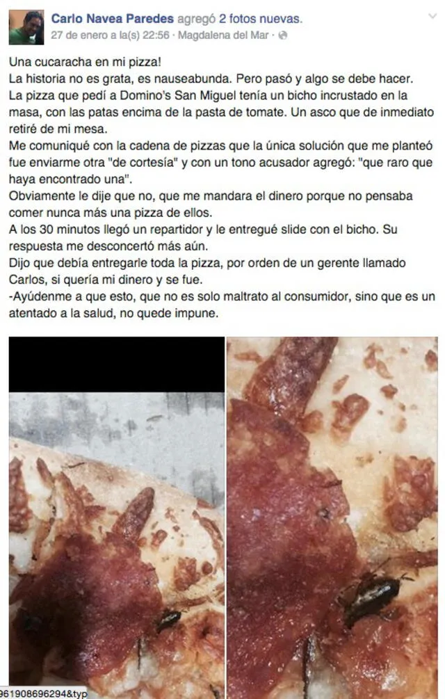 La vez que una cucaracha hizo que Domino's Pizza cierre sus tiendas en Perú  EVAT | Respuestas | La República