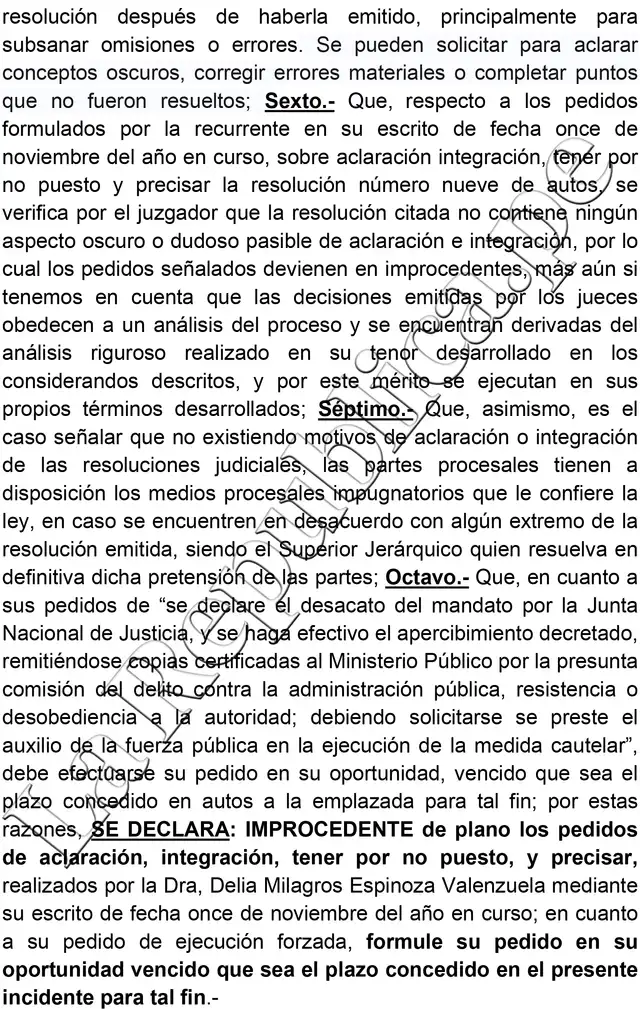Decisión del juez Juan Torres Tasso sobre el pedido de aclaración de Delia Espinoza