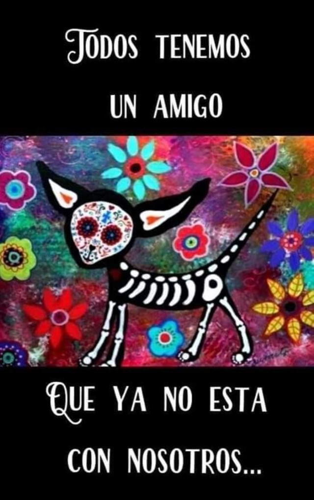 Imágenes por Día de Muertos de Mascotas 2023. Foto: Pinterest   