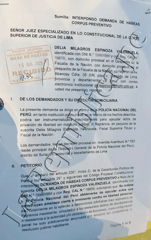 Extracto del recurso presentado por Delia Espinoza | Foto: La República. Extracto del recurso presentado por Delia Espinoza | Foto: La República.