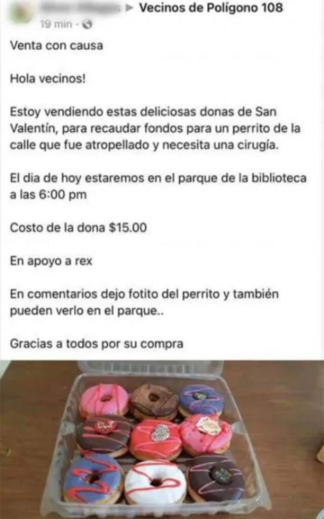 La joven no solo vendió empanadas, sino que se animó a vender otros productos para pagar la operación que su mascota. Foto: captura de Facebook