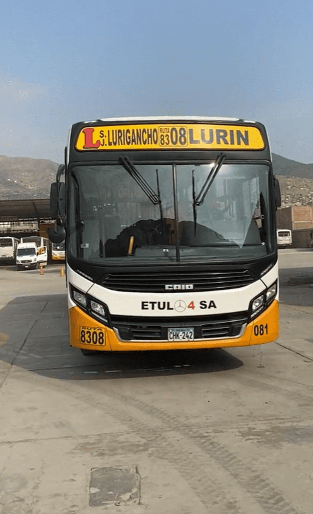 Así luce el bus de la nueva ruta de SJL. Foto: TikTok/Etul 4 S.A.   