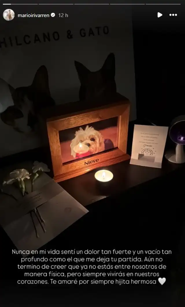 Mensaje de Mario Irivarren. Foto: Instagram Mensaje de Mario Irivarren. Foto: Instagram