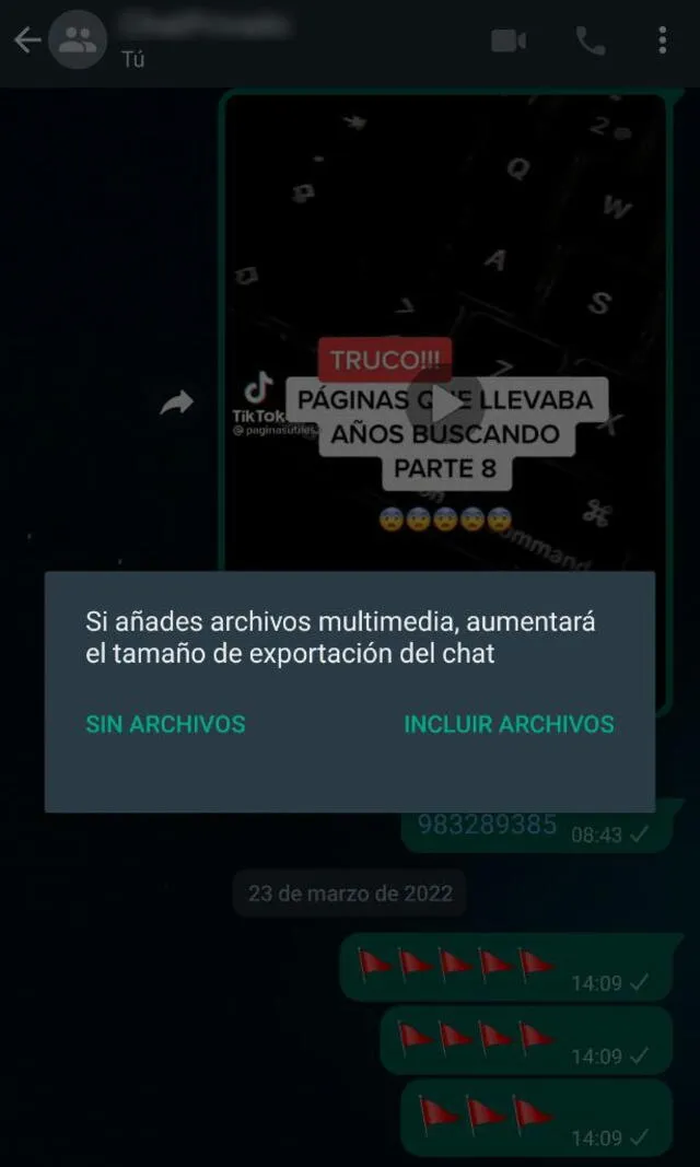 Exportar chat de WhatsApp