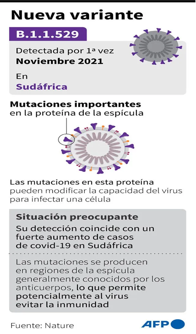 ¿Qué se sabe de la nueva variante del coronavirus B.1.1.529? Infografía: AFP
