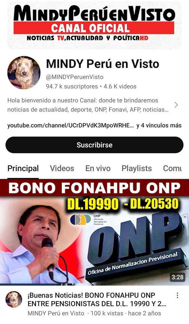  El canal de YouTube 'Mindy Perú en Visto' suele hacer publicaciones relacionadas a bonos del gobierno. Fuente: YouTube   