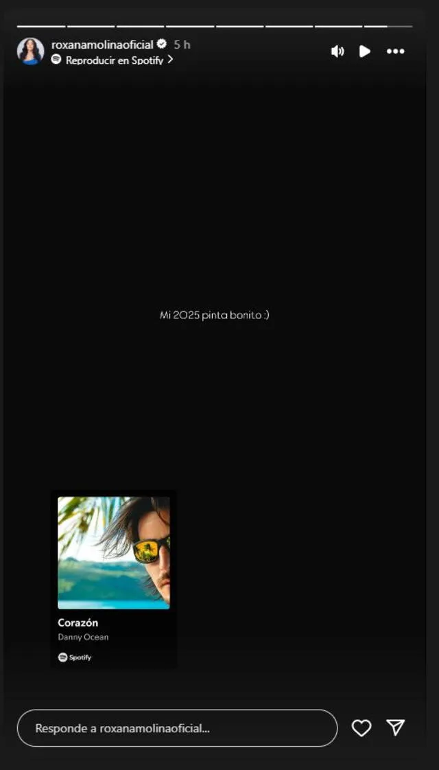 Historia de Roxana Molina en Instagram. Foto: Roxana Molina.   