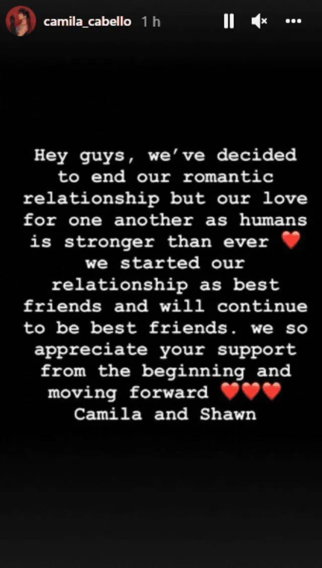 Camila Cabello puso fin a su romance con Shawn Mendes. Foto: Camila Cabello/Instagram.