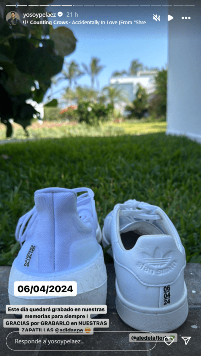  Zapatillas de José Peláez y Alejandra de la Flor. Foto: captura de Instagram/José Peláez<br>   