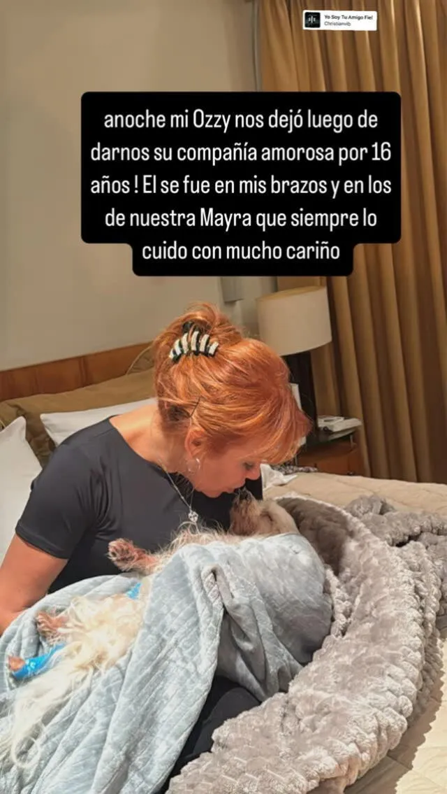 Magaly Medina. Magaly Medina.
