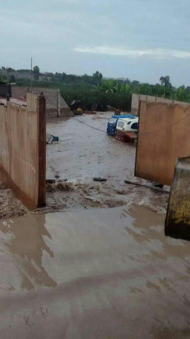 Desborde del río Mala afecta 50 hectáreas de cultivo, estación de bomberos y terminal terrestre | VIDEO
