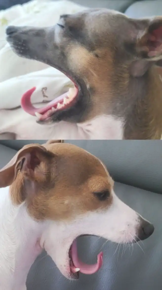 Historia de Jungkook de BTS en Instagram. Foto: captura/Instagram