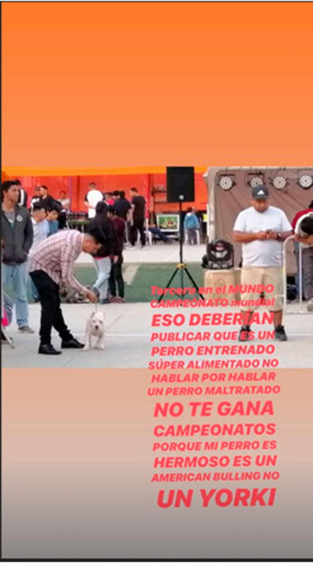 Entrenador de Christian Dominguez defiende a su mascota. Foto: Instagram