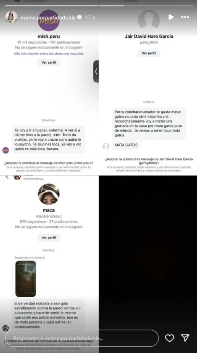 Mensajes de amenazas contra Andrea San Martín. Foto: captura/Instagram   