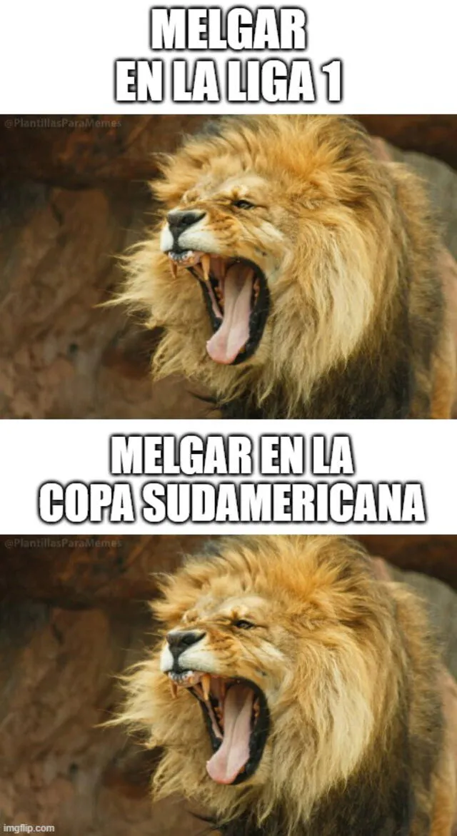 Memes de Melgar en Copa Sudamericana. Foto: Twitter