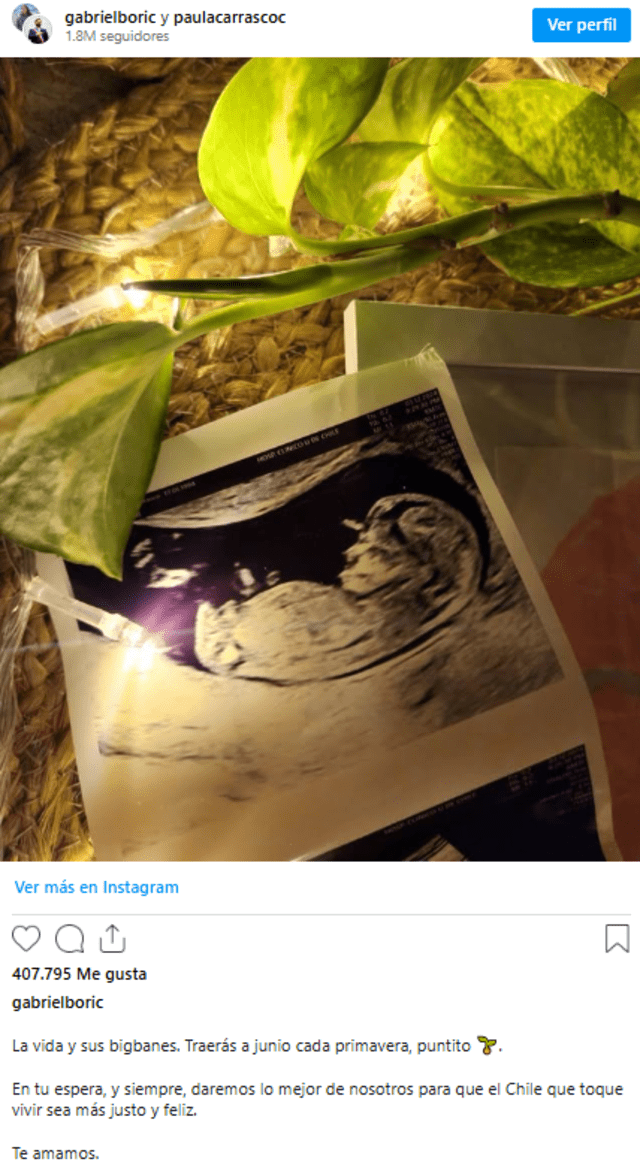  Gabriel Boric y Paula Carrasco anuncian su embarazo. Foto: @gabrielboric &amp; @paulacarracoc/ IG   