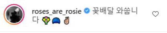 Respuesta de Rosé al post de Lee Hyeri. Foto: captura Instagram