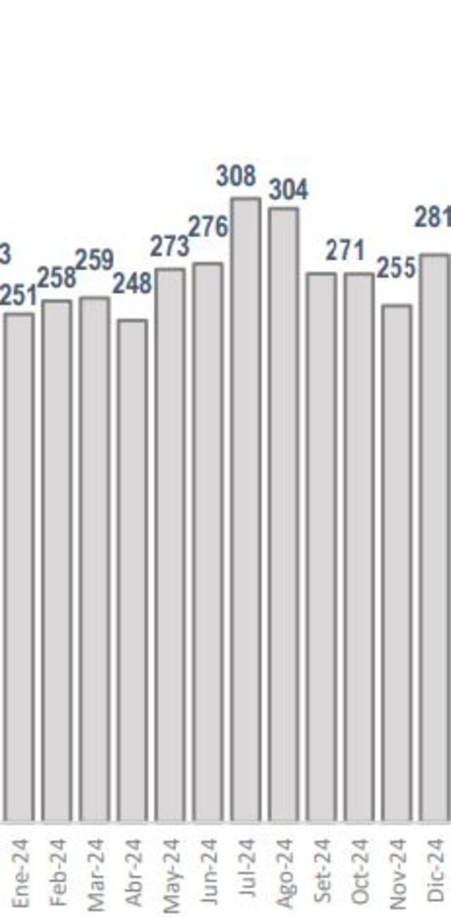 Cantidad de turistas extranjeros por mes de 2024. Fuente: Micentur   