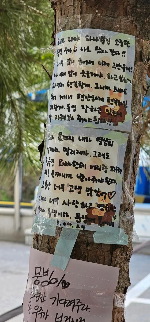 Notas de Moon Sua en el memorial de Moonbin. Foto: xxsoranixx    