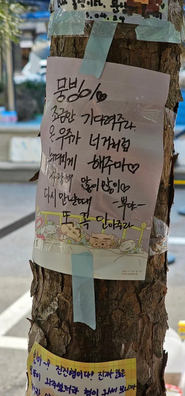 Mensaje de Seungkwan para Moonbin. Foto: Twitter/xxsoranixx   