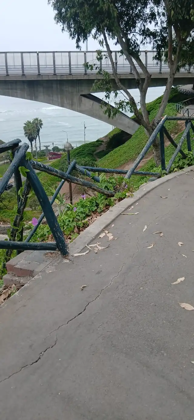  Alrededores del puente Villena. Foto: Jesús Alvarado    