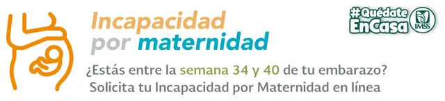 Incapacidad por Maternidad IMSS en México. Foto: captura de la web IMSS.
