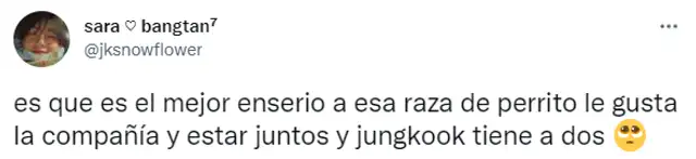 Reacción de ARMY en las redes sociales. Foto: captura/Twitter