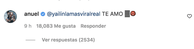 Anuel grita su amor por la cantante dominicana. Foto: Yailin la más viral/Instagram