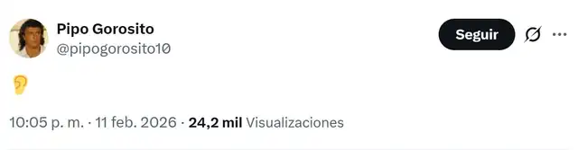 Publicación de Néstor Gorosito. Foto: X/Néstor Gorosito.   