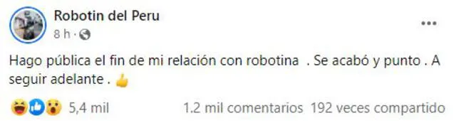 'Robotín' terminó con 'Robotina'. Foto: captura/Facebook.