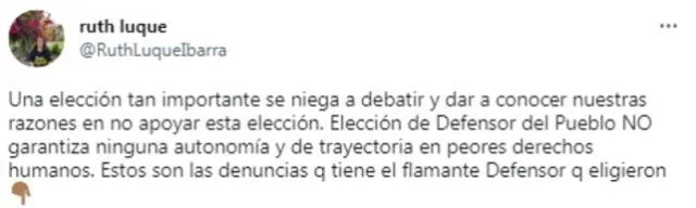  Congresista Luque critica la designación de Josué Gutiérrez como defensor del pueblo. Foto: Twitter/ @RuthLuqueIbarra   