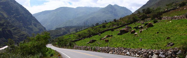 Carretera San Clemente. Foto: CASA.   