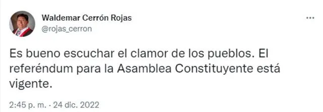 Waldemar Cerrón sobre la presidenta Boluarte