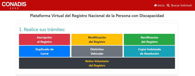 Plataforma oficial del Conadis. Foto: captura   