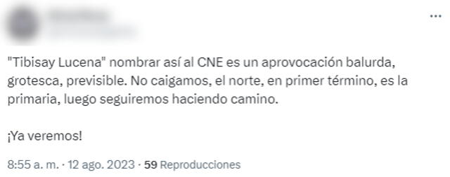 Este cibernauta manifiesta que esto es una estrategia de provocación para los candidatos de la Primaria 2023. Foto: Twitter